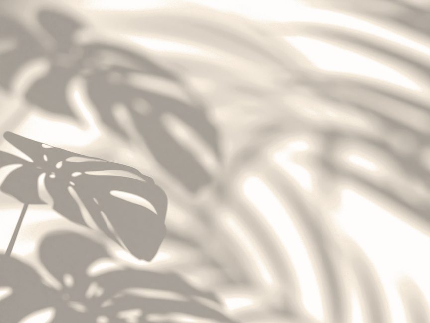 Sunlit olive branches with ripening olives